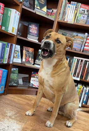 Otis snarls when the book is put back on shelf. 