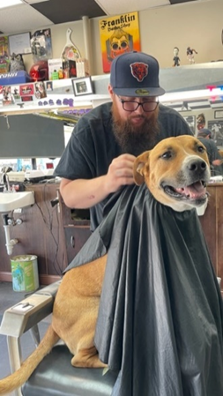  Otis at the barbershop getting hair cut. 